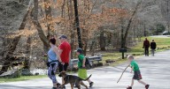 Kanawha State Forest hosts nature walks, kid-friendly events Saturday