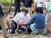 Capacitan a personal de Protección Civil en manejo de fauna peligrosa en Colima