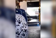 Conductor de bus por poco ocasiona accidente de tránsito en Santa Marta