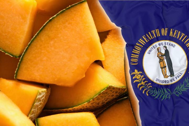 Why I'm Calling This Orchard Discovery the 'Kentucky Cantaloupe'