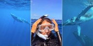Pampita bailó con ballenas en el océano: el espectacular video y un agradecimiento especial