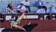 Veterano sufre cornada de 30 centímetros de profundidad en la pierna durante corrida de toros