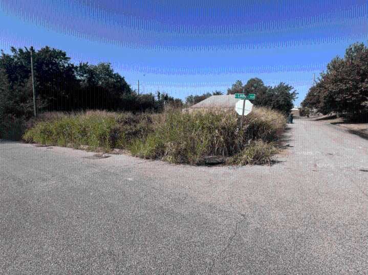 Towering grass in NE Oklahoma City has neighbor upset
