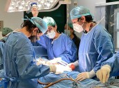 Escasos donantes de médula ósea en Yucatán