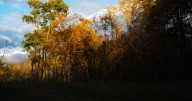 ‘Delicious’ fall forecast for most of Canada: climatologist