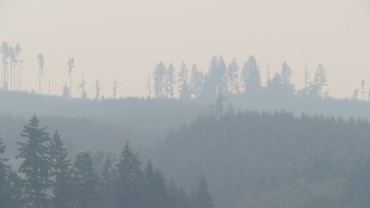 Survey launched to help Lane County update Community Wildfire Protection Plan