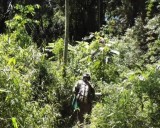 En la 4º edición del Happy Hour Científico Iguazú hablarán sobre ecología vegetal y clima