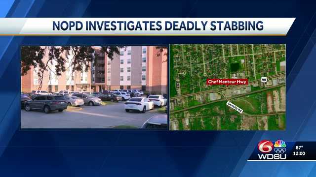 Man arrested in connection with deadly stabbing