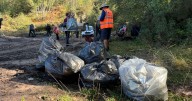 Sherwood Forest flytippers fined after 18 tonnes of waste dumped in country road