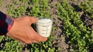 The Popular Fertilizer You Need To Avoid (And What Kind Your Garden Needs Instead)