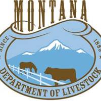 Musselshell County horse tests positive for equine infectious disease