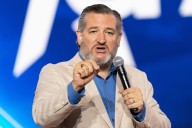 'Mafia boss': Ted Cruz warns Democrats will 'ruthlessly' co