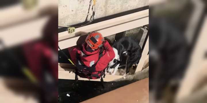 VIDEO: San Bernardino County firefighters rescue dog from rushing water in California Aqueduct