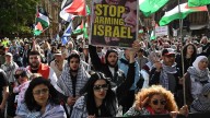 UN expert warns Australia over defence ties with Israel