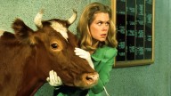 My favorite classic sitcom is now streaming on Hulu — watch 8 seasons of supernatural silliness