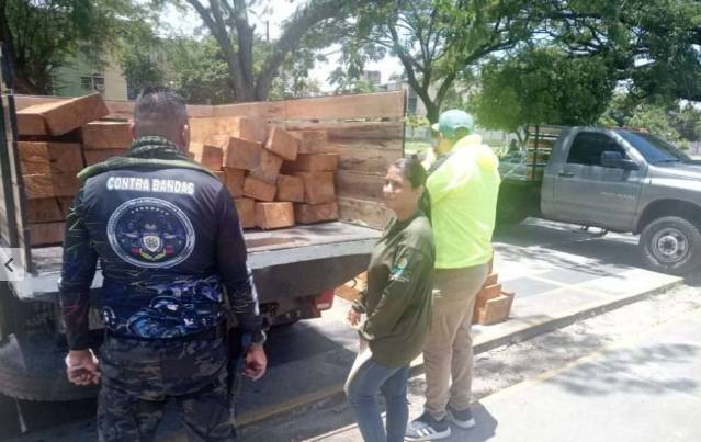 Autoridades incautaron lotes de madera de procedencia ilegal en Mérida