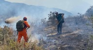 Incendio en el Misti: Fuego arrasó hábitat de más de 50 especies de flora y fauna (FOTOS)