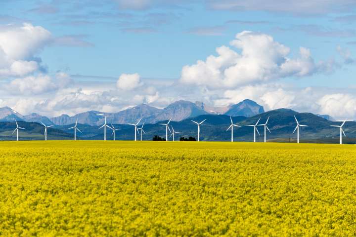 Bloom Energy: Options And Dark Pools Signal Steady Momentum, Valuation Screams Sell