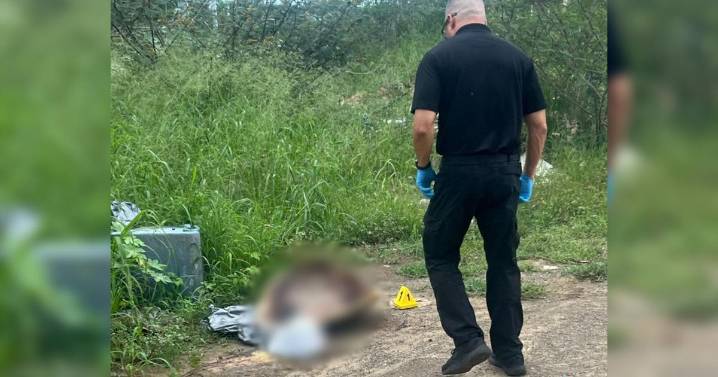 DRNA investiga hallazgo de caparazón de tortuga carey en vertedero clandestino en Salinas