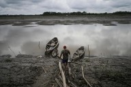 Well-preserved Amazon rainforest can protect people from diseases: study