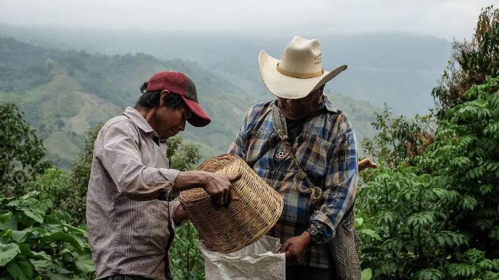 Próxima administración municipal de Ixhuatlán del Café impulsará la cafeticultura