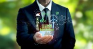 Sustentabilidad: la nueva estrategia empresarial para la transformación social
