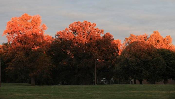 11 places, parks to see fall leaves, colors around Louisville