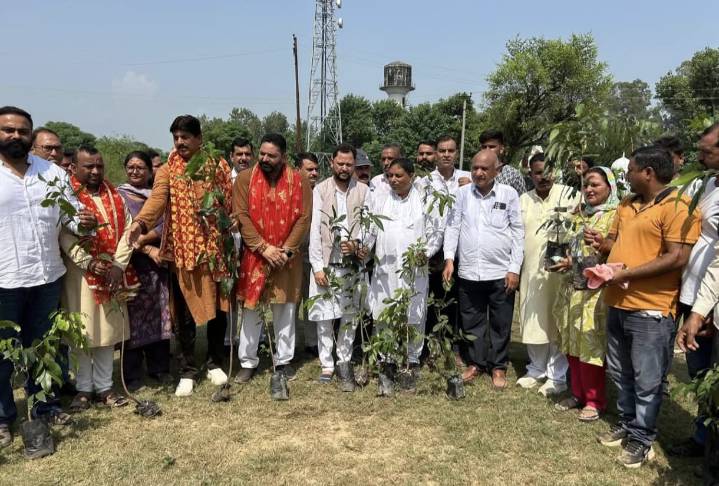 BJP SC Morcha undertakes plantation drive, Sat Sharma urges everyone to plant as many trees