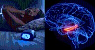 El sueño, clave en la prevención del Alzheimer