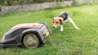 What Is The Most Reliable Robot Lawn Mower In 2025?