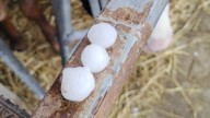 Aviso nivel naranja por lluvias este lunes en el Pirineo de Huesca
