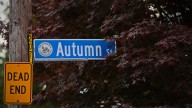 Scenic fall views: Here's where to go hiking in Greater New Bedford