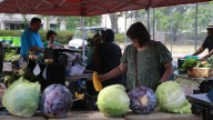SNAP-Ed cuts will end nutrition education for 1,200 Savannah residents