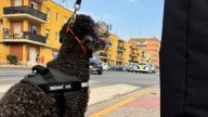 Sedaví levanta actas de denuncias por tenencia de drogas coincidiendo con "la vuelta al cole"