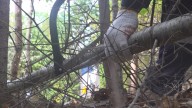 Castine residents tackle wildfire risk amid severe drought in Maine