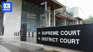Supreme Court gives Queensland hospital permission to terminate 12yo girl's pregnancy