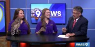 Wildlife rescue at the LSU Vet School