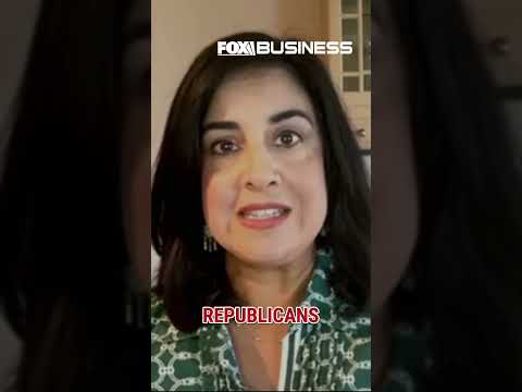 Rep. Malliotakis: Mamdani is trying to capitalize on this #foxbusiness #news #shorts