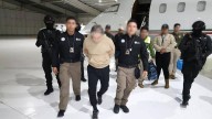Gobierno de AMLO entregó contratos por 3 mil millones de pesos a sobrino de Hernán Bermúdez