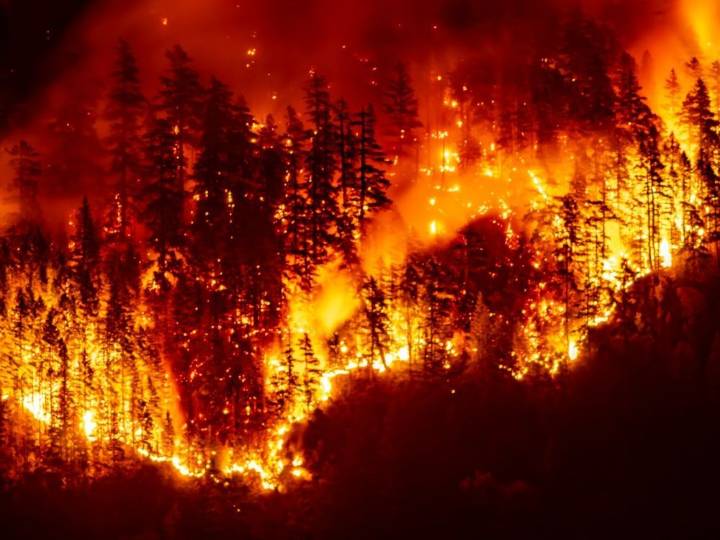 Wildfires producing 'witches' brew' of air pollution: UN