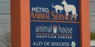 Louisville Metro council leaders propose pet microchipping ordinance