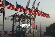 Trump anuncia arancel del 100% a productos farmacéuticos de empresas que fabriquen fuera de EU