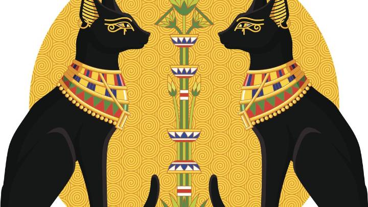 Egipto: el pueblo que conversa con gatos