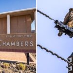 Mesa issues notice of intent to raise utility rates, locals have 60 days to comment