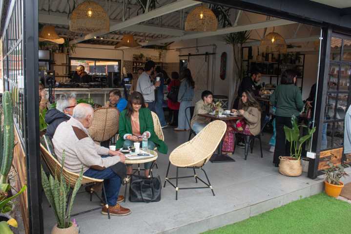 Rocacactus reabre en La Serena con un concepto que une café, plantas y tradición