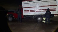 Huachicol en Guanajuato: aseguran más de 19 mil litros en Pénjamo; hay un hombre detenido