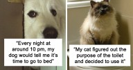 30 Funny And Bizarre Things Pets Do According To Their Owners Who Claim That Nobody Believes Them