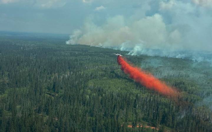 The unexpected upside of Canada's wildfires