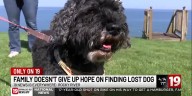 Northeast Ohio drone operator helps track down Pumpkin, a 15-year-old blind dog missing for 27 hours