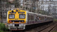 Mumbai: Central Railway Disrupted As Buffaloes Get Stuck Under Local Train